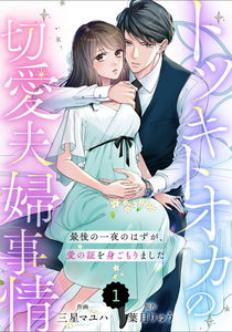 Totsuki Tooka no Setsuai Fuufu Jijou