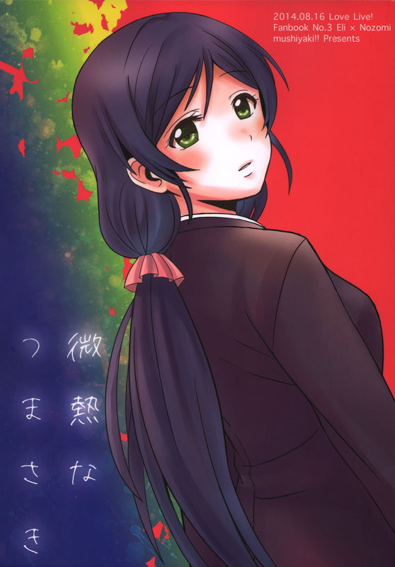 Love Live! - Feverish Tiptoes (Doujinshi)