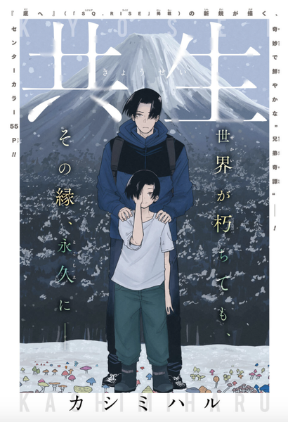 cover