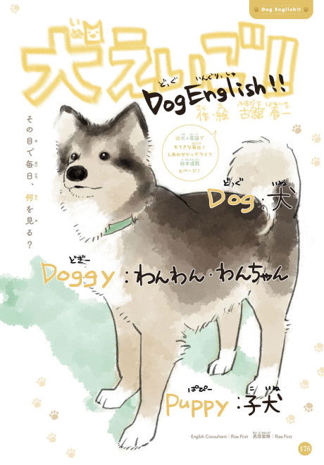 Inu to Eigo