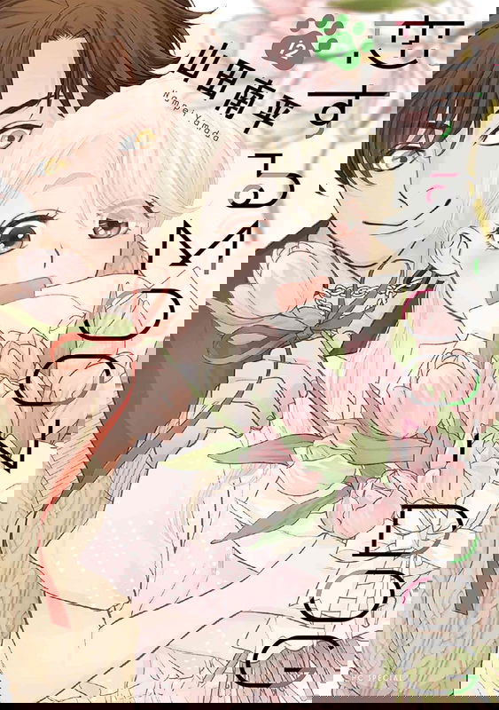 bg-image