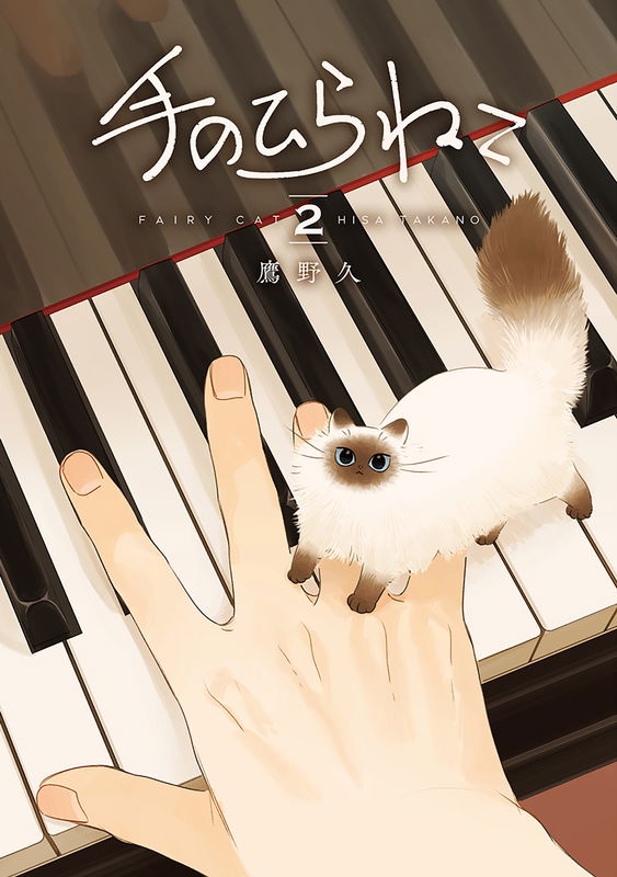 Palm Cat