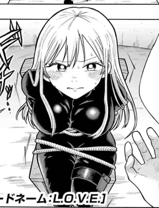Code Name: L.O.V.E.