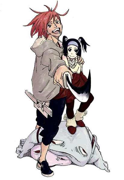 cover