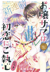 Ojou-sama wa Hatsukoi ni Goshuushin ni Tsuki