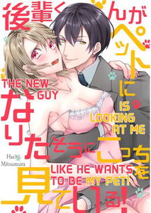 Kouhai-Kun ga Pet ni Naritasou ni Kocchi wo Miteiru!