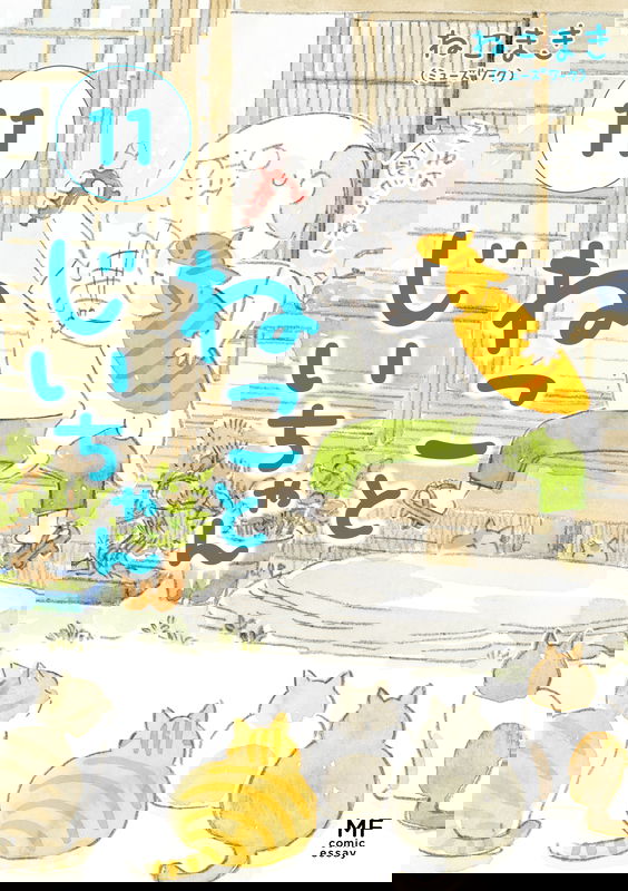 bg-image