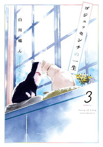 Story of 50 Centimeters