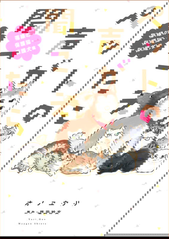 bg-image