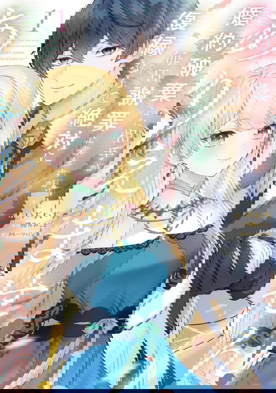 Konyaku Haki Shita Aite ga Mainichi Shazai ni Kimasu ga, Fukuen Nante Zettai ni Ariemasen!