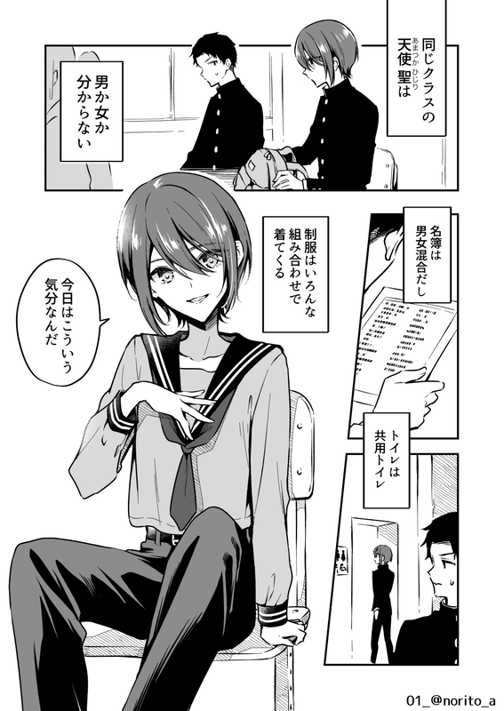 I Don't Know If Amatsuka Hijiri Is a Boy or a Girl!