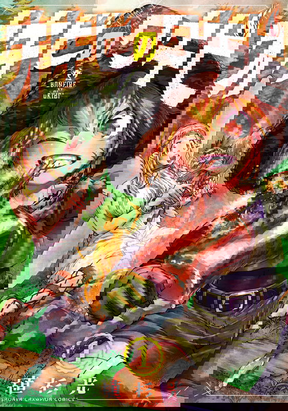 Bonfire Of Embers