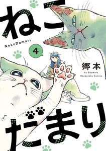 Cats' Toy