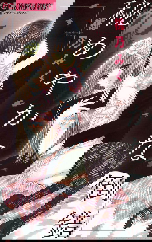 bg-image