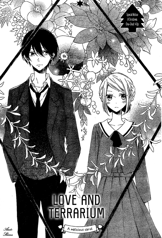 Love & Terrarium