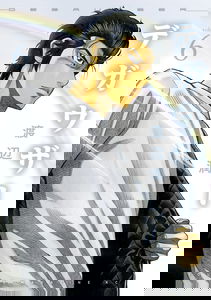 Degausser