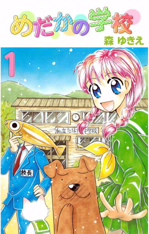 Medaka's School