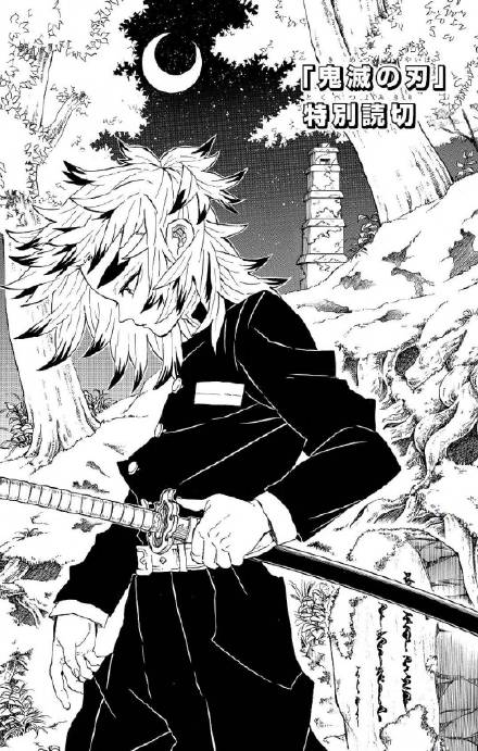 Swords Of Demon Destruction Special Oneshot