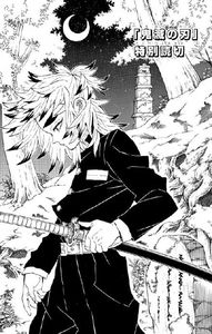 Swords Of Demon Destruction Special Oneshot