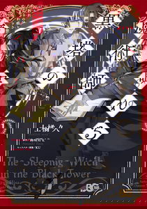 The Sleeping Witch in the Black Tower