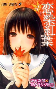 Love-colored Maple Leaves