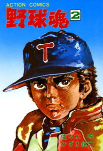Baseball Spirit