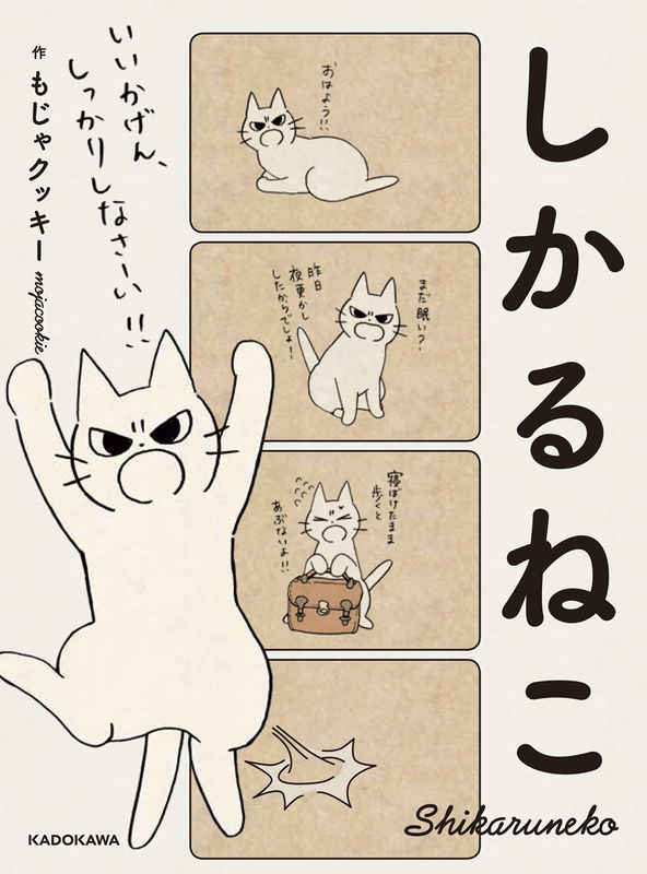 Scolding Cat