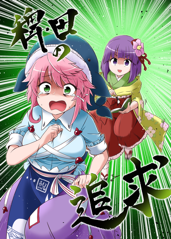 Hieda's Pursuit