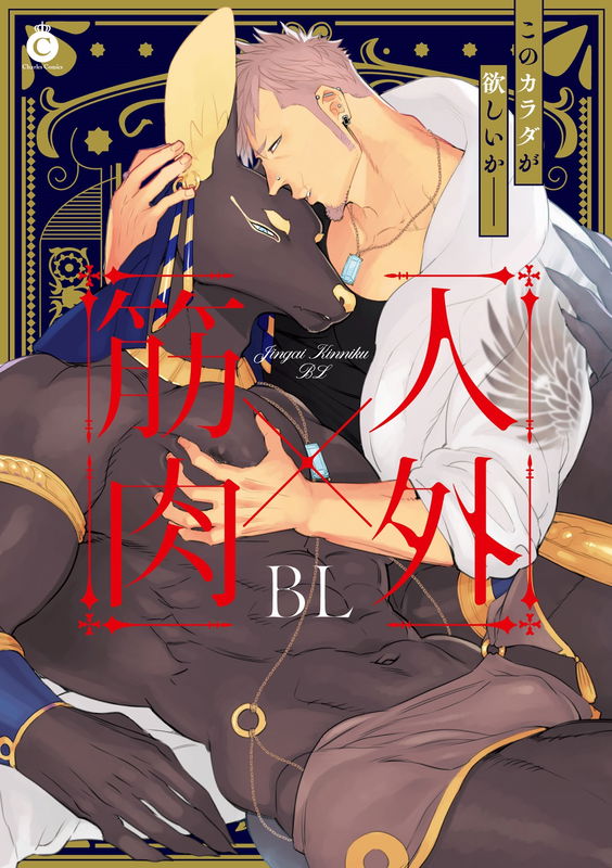 bg-image