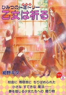 The Secret Stairs 3