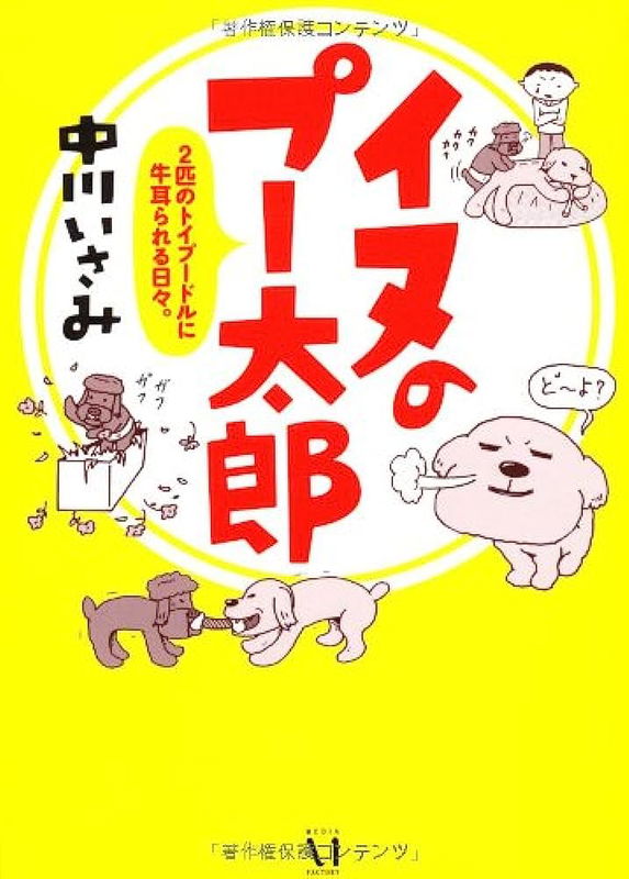 Pooh Taro the Dog Days Dominated by Two Toy Poodles