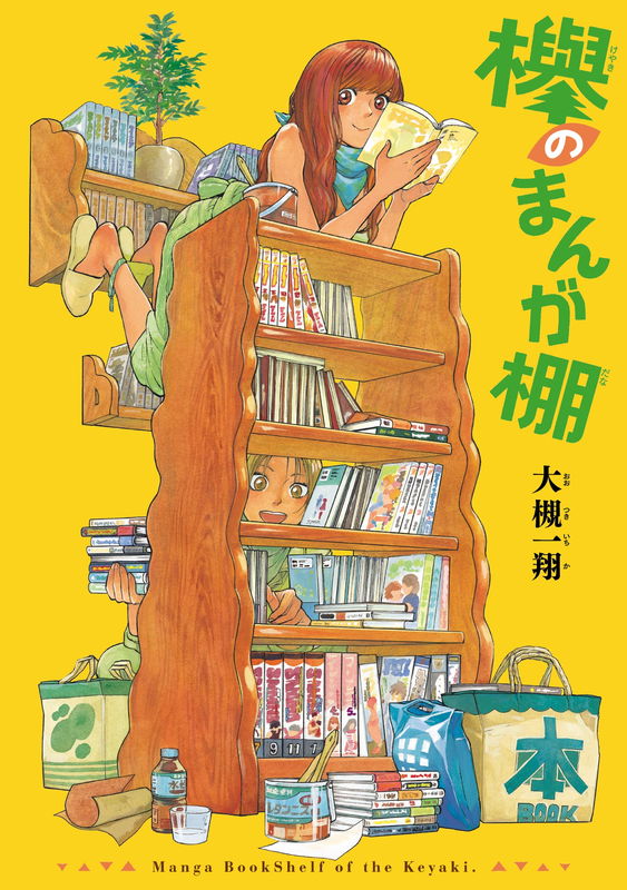 The Keyakis' Manga Bookshelves