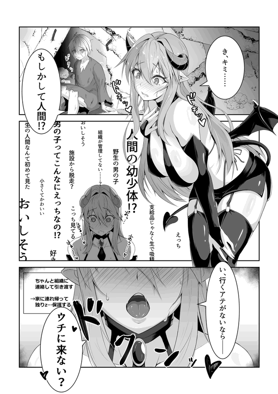A Story of a Post-Apocalyptic World Where Succubi Thrive as Humanity Nears Extinction