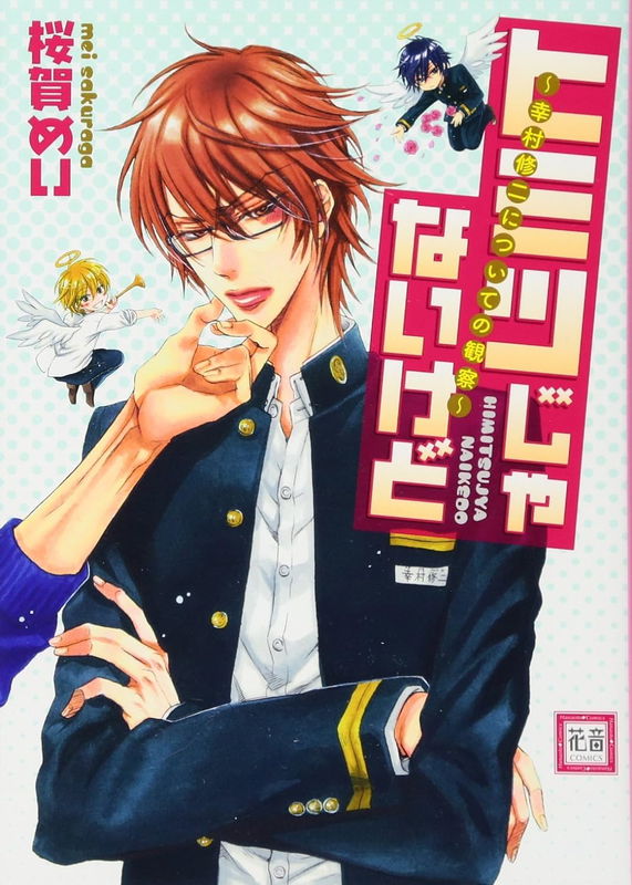 Himitsu Ja Nai Kedo ~Yukimura Shūji Nitsuite no Kansatsu~