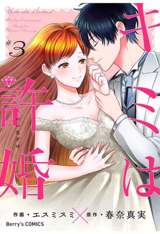 You are a fiance