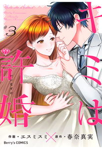 You are a fiance