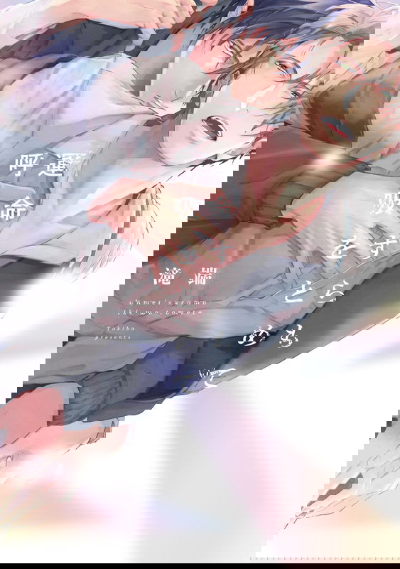 Unmei Sura mo Kokyuu wo Tomete