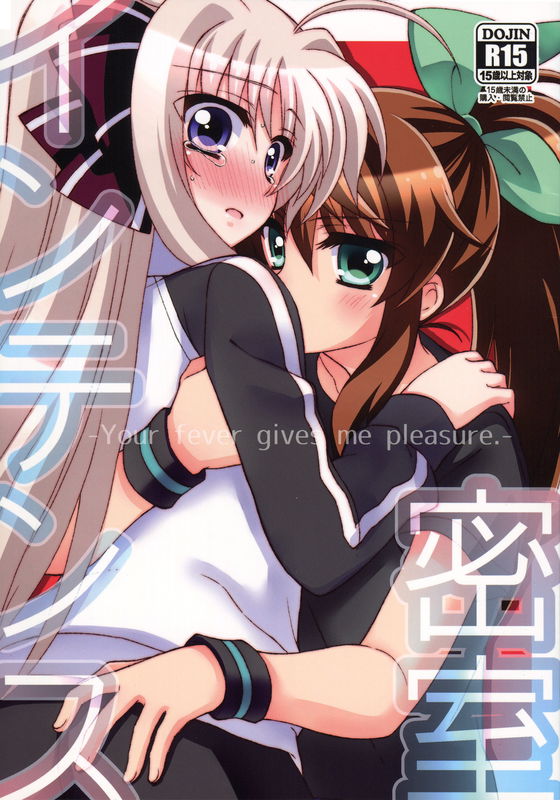 Secret Room Intense -Your fever gives me pleasure.- (Magical Girl Lyrical Nanoha)