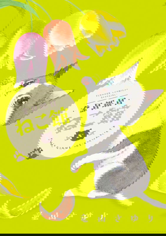 bg-image
