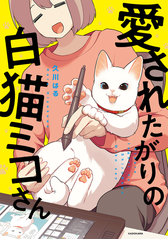 Miko, a White Cat That Wants to Be Loved