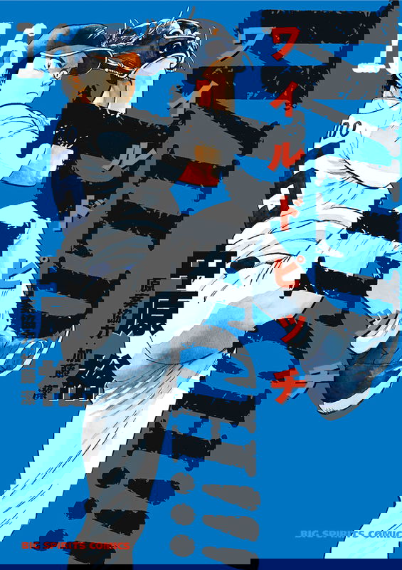 Wild ☆ Pitch