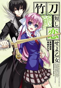 A Girl who Loves Short Bamboo Swords