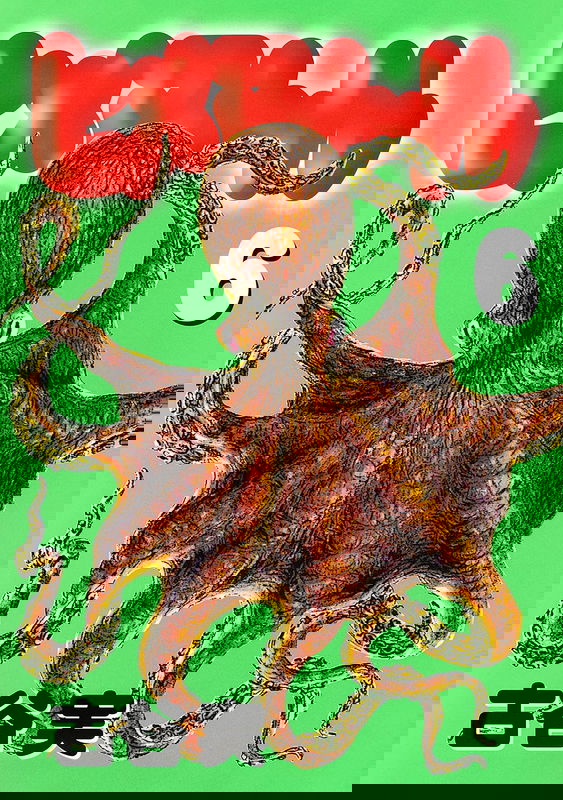 bg-image