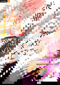 Suiyoubi, Watashi no Otto ni Dakarete kudasai